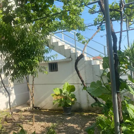 Malti